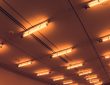 Photo Solar Camp Floor Lights