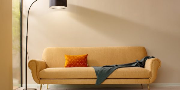 Photo floor lamp