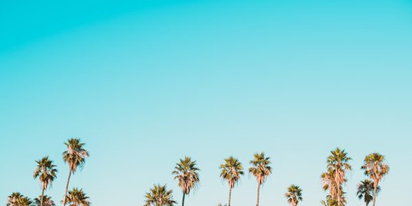 Photo sputnik chandelier