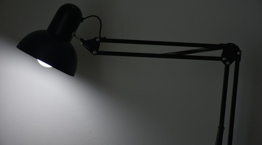Photo swivel arm desk lamp