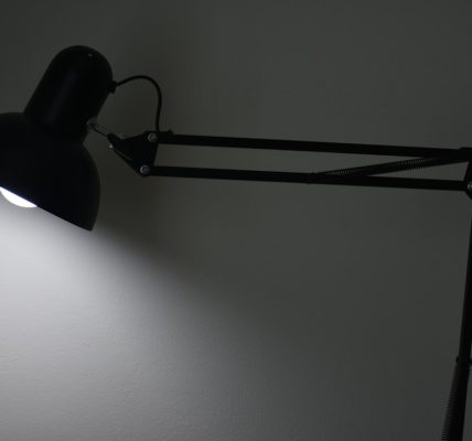 Photo swivel arm desk lamp