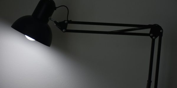 Photo swivel arm desk lamp