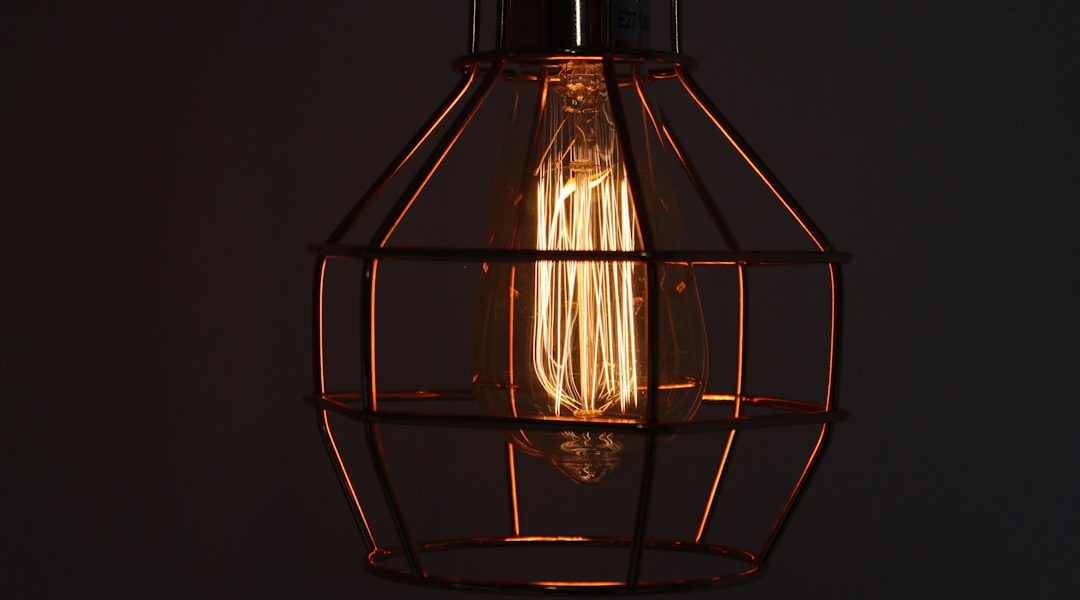 Photo industrial wire cage ceiling lamp