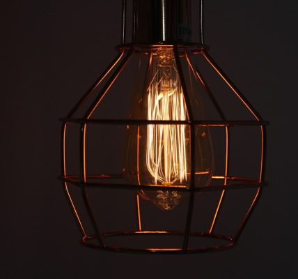 Photo industrial wire cage ceiling lamp