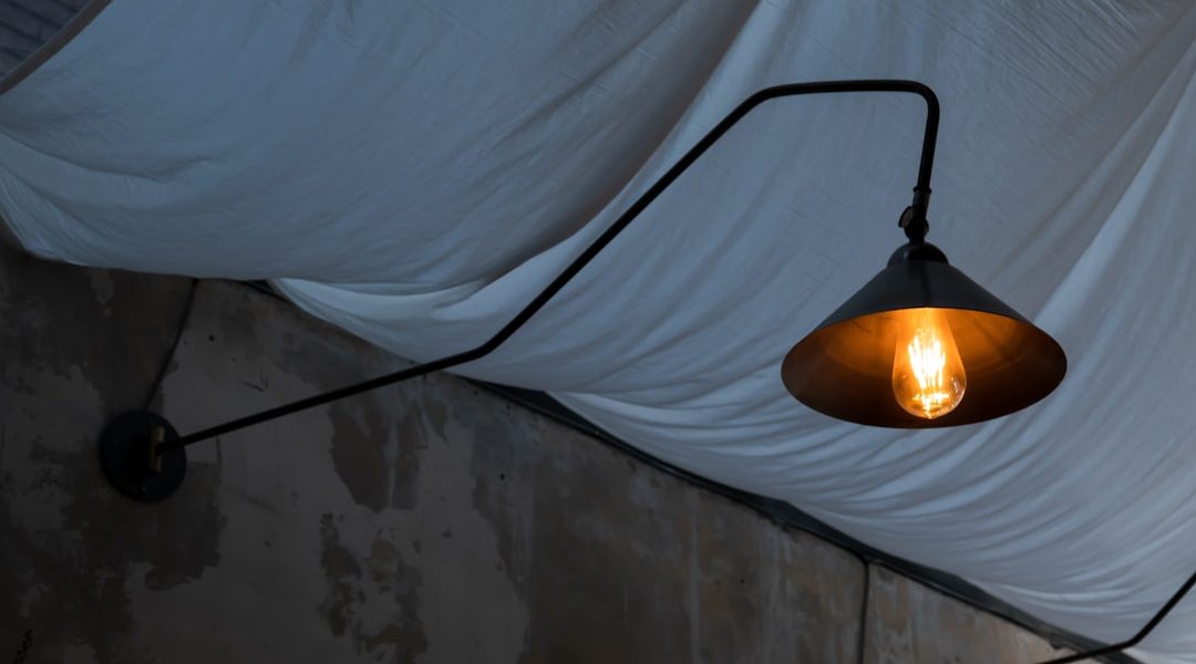 Photo swing arm wall lamp