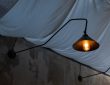 Photo swing arm wall lamp