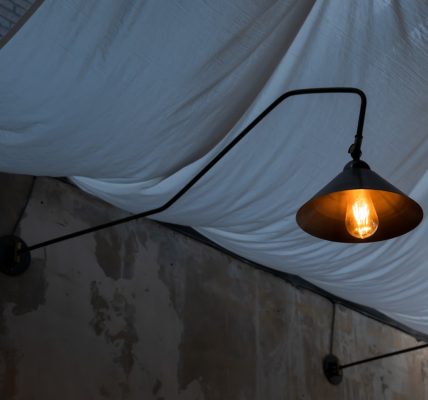 Photo swing arm wall lamp