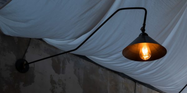 Photo swing arm wall lamp