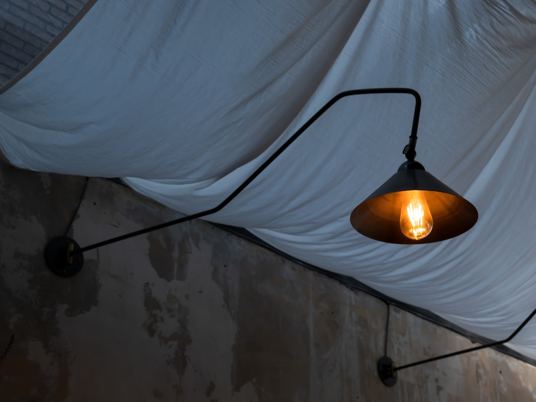 Photo swing arm wall lamp